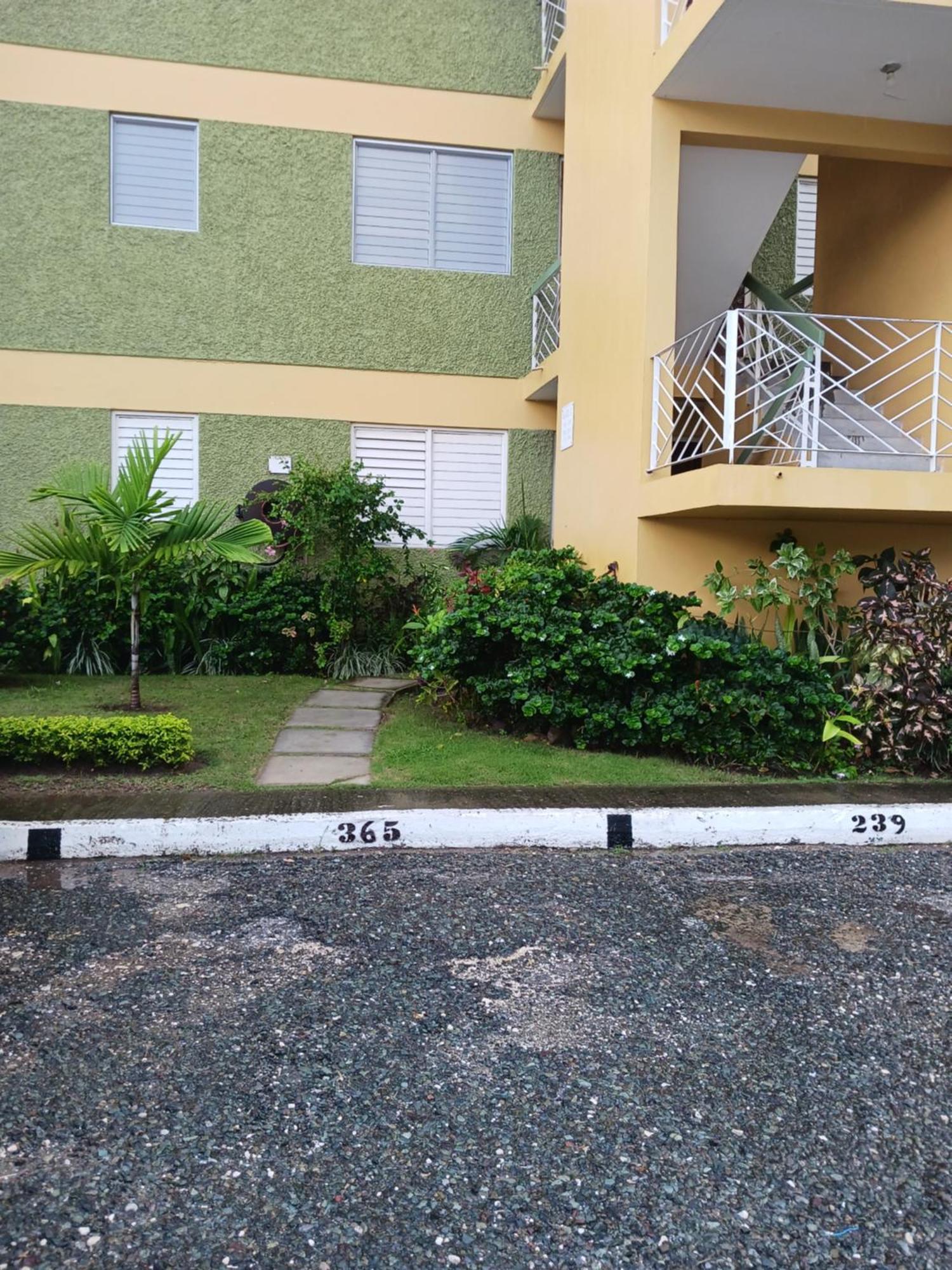Apartamento Chelsea Manor Kingston Exterior foto